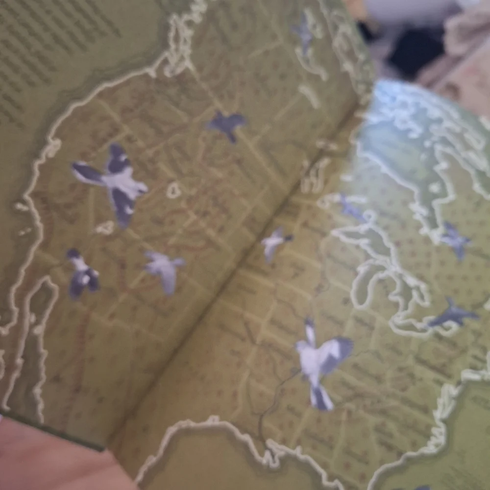 National Geographic Blue and White Bird Guide